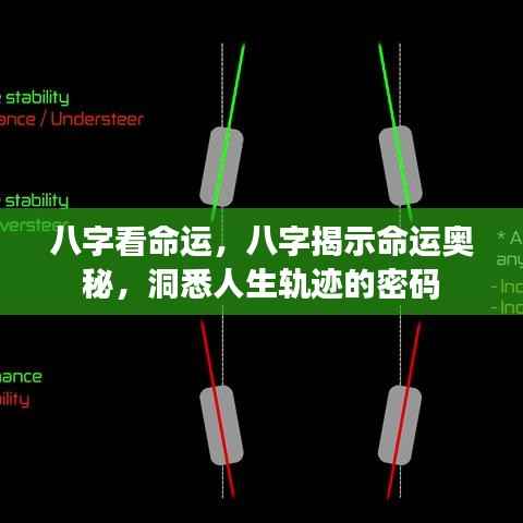 八字揭秘命运奥秘,洞悉人生轨迹的密码