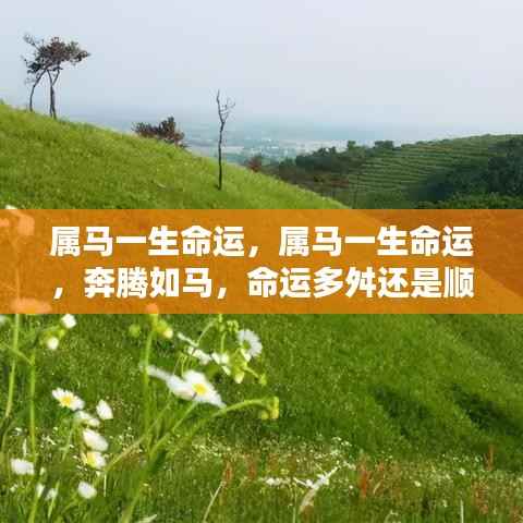 属马人的命运轨迹,奔腾一生,命运多舛还是顺风顺水?