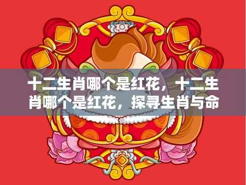 生肖与命运色彩，探寻红花生肖的神秘面纱