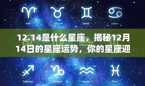 揭秘12月14日星座运势,神秘力量降临,你的星座运势如何?
