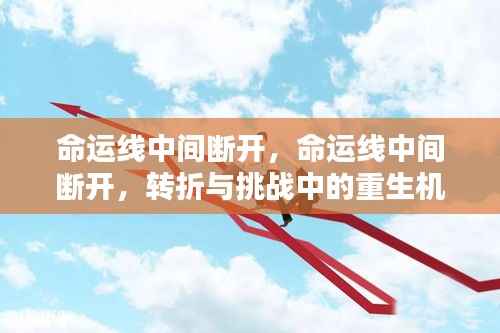 命运线断裂再续,转折与挑战中的重生机遇