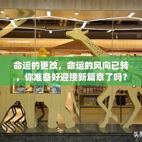 命运转折之际,迎接新篇章的准备时刻