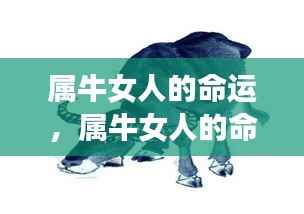 属牛女人的命运,个性特色与人生轨迹的交织展现
