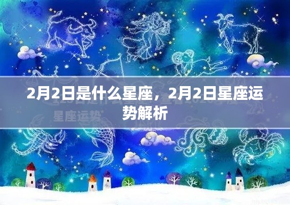2月2日星座运势解析,探寻属于你的星座运势