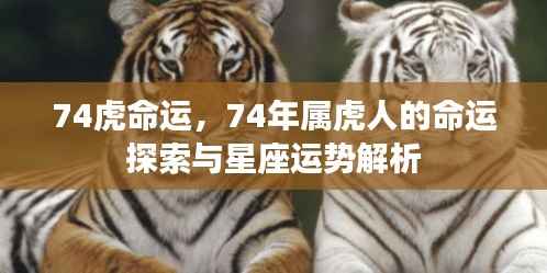揭秘74年属虎人的命运轨迹与星座运势解析