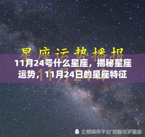揭秘11月24日星座特征,运势与星座性格解析