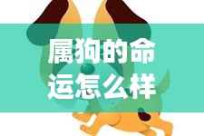 属狗的命运怎么样,属狗人的命运解析,星辰指引下的光明前程