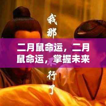 二月鼠命运详解,洞悉运势起伏,掌握未来走向
