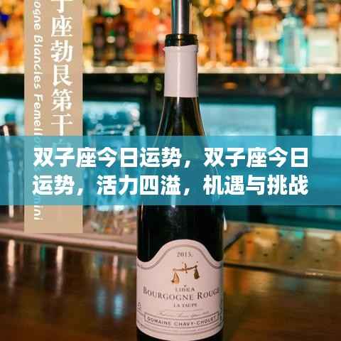 双子座今日运势,活力挑战并存,机遇与风险交织