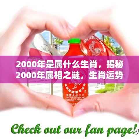 揭秘2000年属相之谜,生肖运势深度解析与运势展望