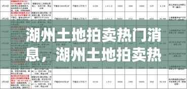 湖州土地拍卖市场热门动态,聚焦市场动态,洞悉未来趋势