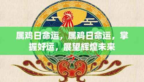 属鸡人的命运展望，把握好运，迎接辉煌未来