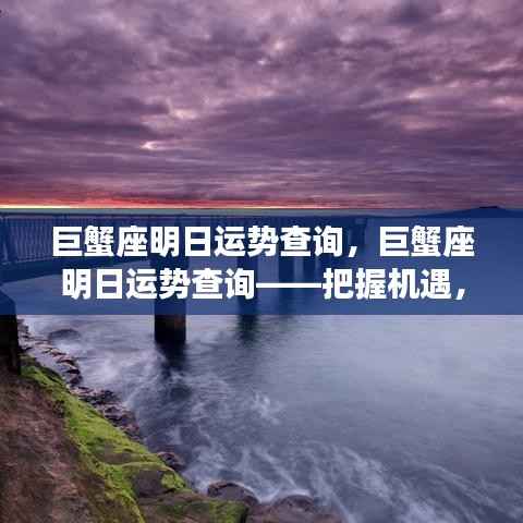 巨蟹座明日运势详解,把握机遇,展望挑战新篇章