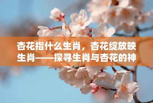 杏花与生肖的神秘联系,探寻生肖中的杏花绽放之美