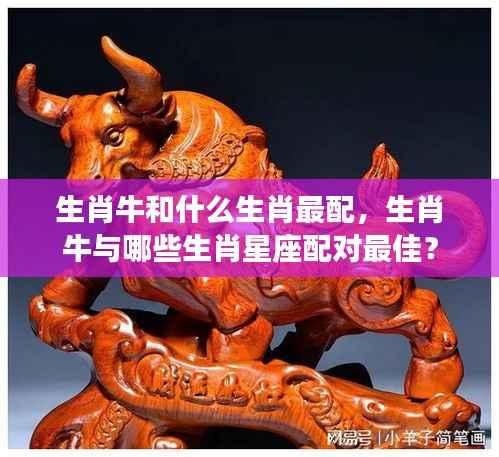 生肖牛的最佳配对生肖与星座组合探究