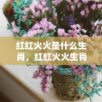 红红火火生肖运势大揭秘,探寻生肖魅力与未来美好碰撞