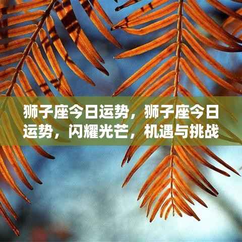 狮子座今日运势,闪耀与挑战并存