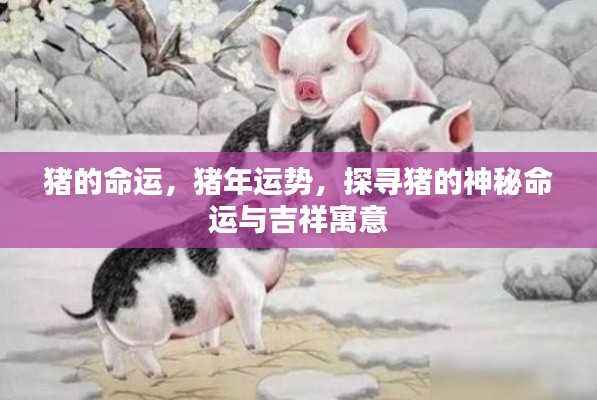 猪年运势揭秘,探寻猪的神秘命运与吉祥寓意