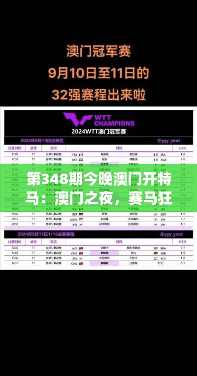 第348期今晚澳门开特马：澳门之夜，赛马狂热的极致展现