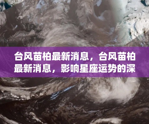 台风苗柏最新动态与星座运势深度解析