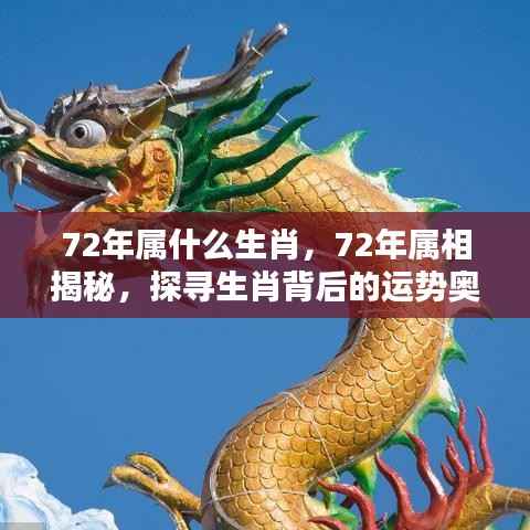 探寻生肖奥秘,揭秘属相运势与生肖背后的故事(针对生肖属相为鼠的年份)