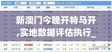 新澳门今晚开特马开,实地数据评估执行_Deluxe7.511