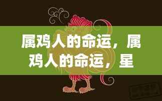 属鸡人的命运展望，星光指引前程