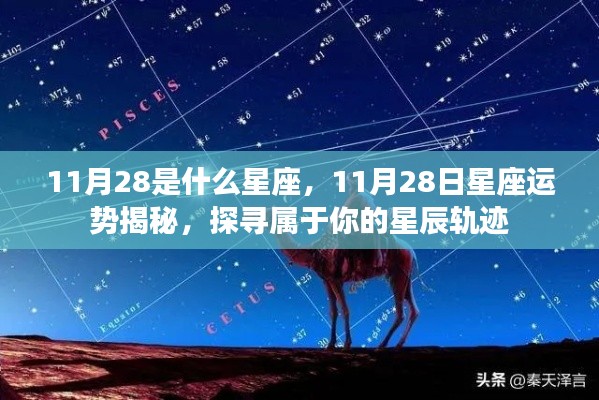 揭秘11月28日星座运势与星辰轨迹,探寻属于你的星座秘密