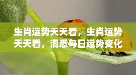 每日生肖运势解析,掌握好运,洞悉变化