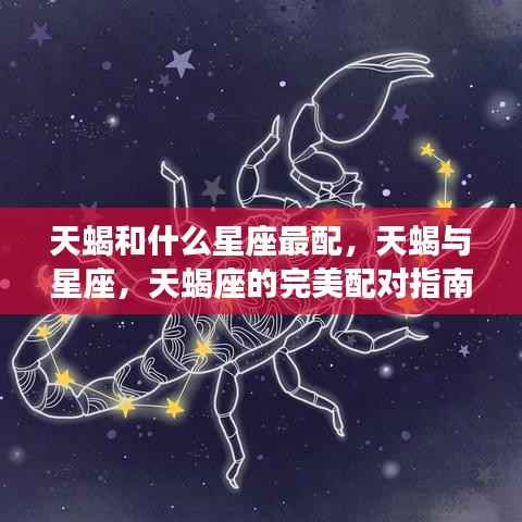 天蝎座的完美配对指南,与哪些星座最契合?
