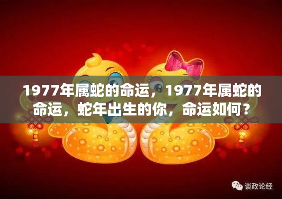 揭秘属蛇命运，1977年出生者的蛇年运势解析