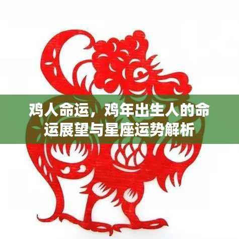 鸡年出生人的命运展望与星座运势解析,揭秘鸡人的命运轨迹
