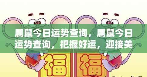 属鼠今日运势解析与未来展望