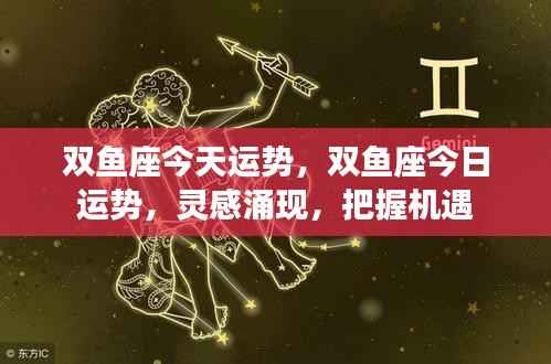 双鱼座今日运势,灵感涌现,把握机遇,运势大好