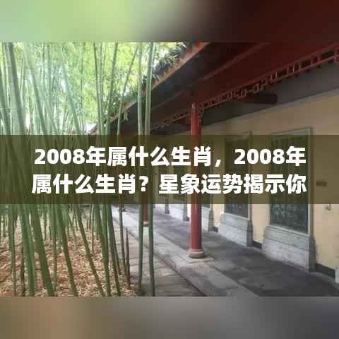 揭秘2008年属相运势,星象运势揭示未来走向