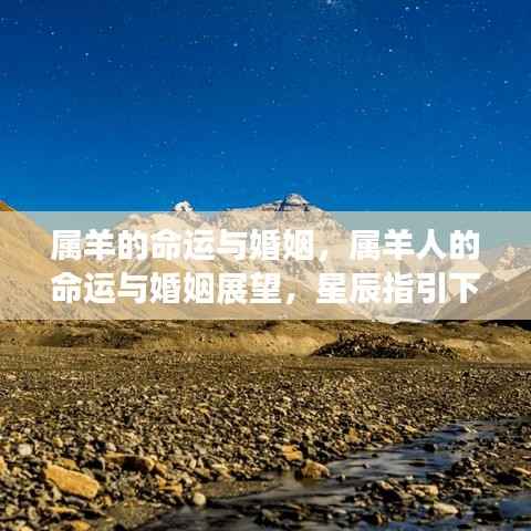 星辰指引下的属羊命运与婚姻展望，幸福之路探寻