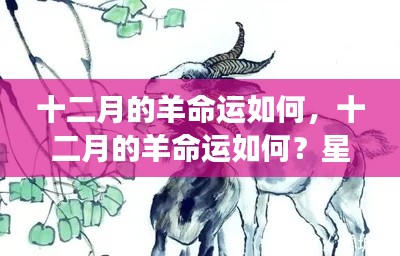 十二月的羊星座运势揭秘,命运如何?揭秘羊儿的未来走向