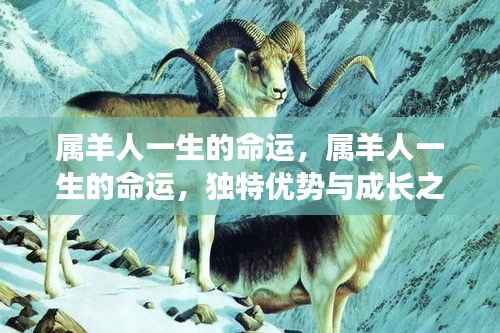 属羊人的命运轨迹,独特优势与成长之路探索