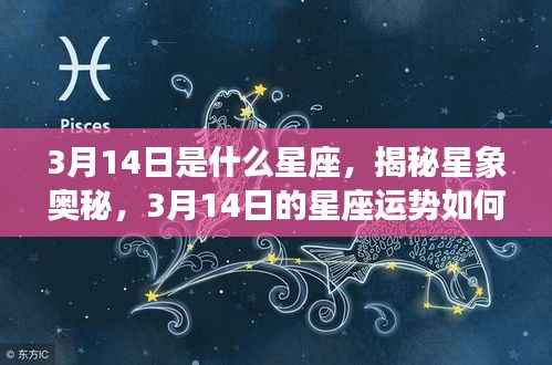 揭秘星象奥秘，3月14日的星座运势与星座特征分析