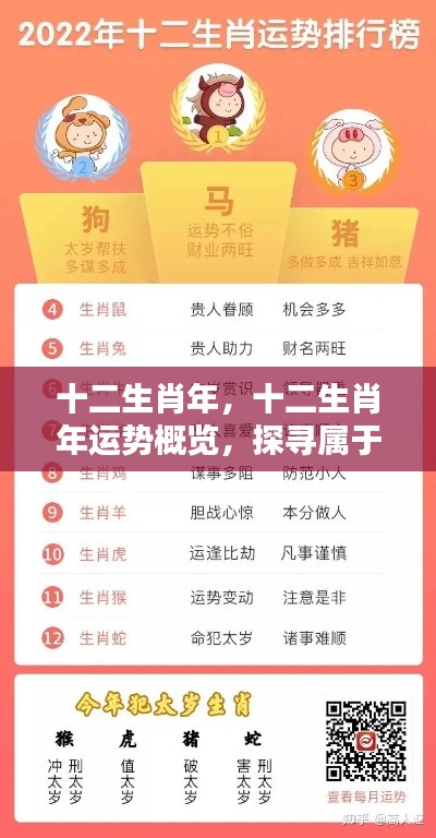 十二生肖年运势概览,探寻属于你的辉煌篇章与运势展望
