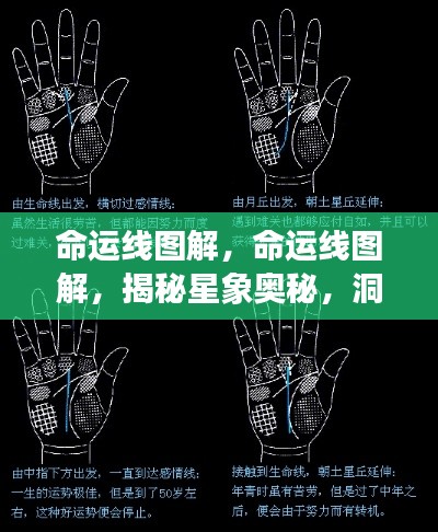 命运线图解,揭秘星象奥秘,洞悉人生轨迹之谜