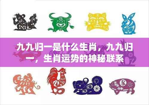九九归一与生肖运势的神秘联系探索