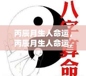 丙辰月生人命运详解,星辰指引下的命运轨迹