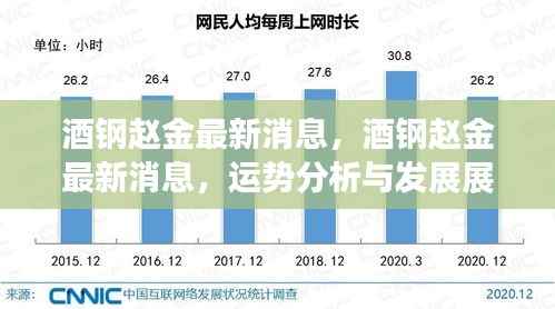酒钢赵金最新消息及运势分析与发展展望展望