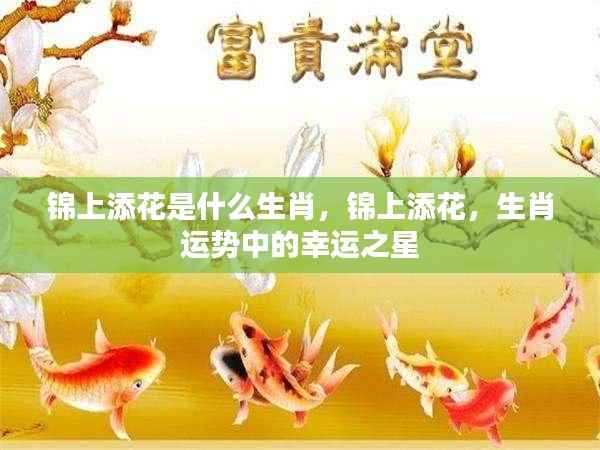 生肖运势中的幸运之星,锦上添花的生肖揭秘