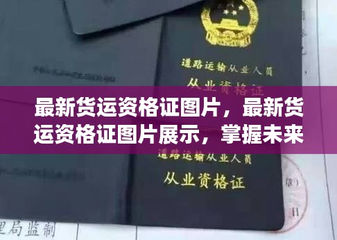 最新货运资格证图片展示,掌握货运行业必备资质,引领未来物流发展之路