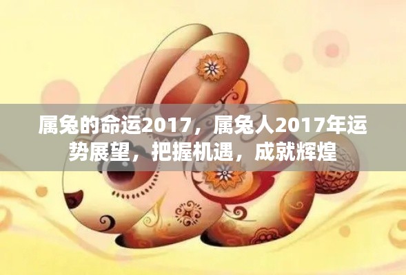 属兔人2017年运势展望,把握机遇,成就辉煌命运!