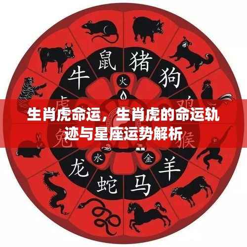生肖虎命运解析，命运轨迹与星座运势深度解读