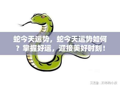 今日蛇运势详解,把握好运,迎接美好时刻!