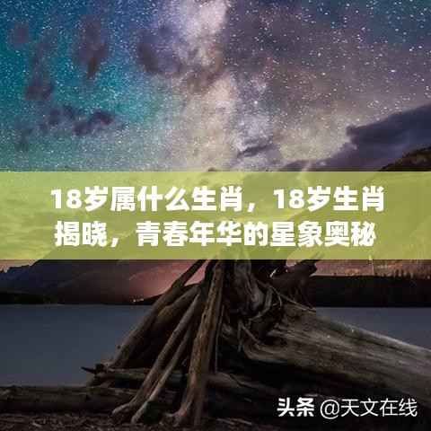 青春年华的生肖奥秘,揭秘18岁属相与星象之谜